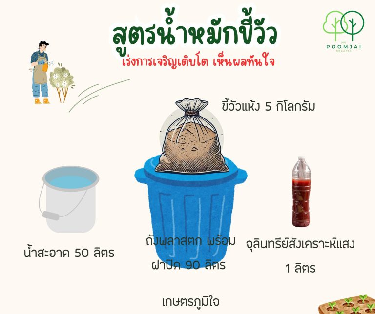 น้ำหมักขี้วัว