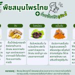 พืชสมุนไพรไทยช่วยป้องกันภูมิแพ้