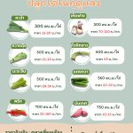 พืชใช้น้ำน้อย ปลูกได้ในฤดูแล้ง