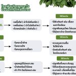 ปัจจัยที่ทำให้พืชป่วย
