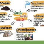 ดินแข็ง ดินเสื่อมแก้อย่างไร