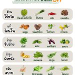 ผักสวนครัว รั้วกินได้ ห่างไกลโรค