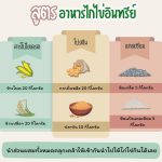 สูตรอาหารไก่ไข่อินทรีย์
