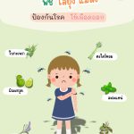 พืชไล่ยุงและแมลง