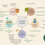 5 สาเหตุพืชใบเหลือง